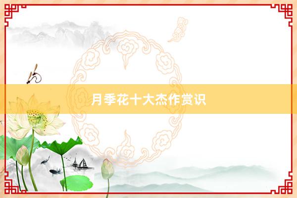 月季花十大杰作赏识