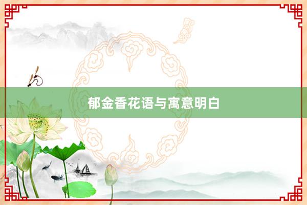 郁金香花语与寓意明白