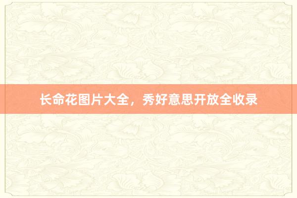 长命花图片大全，秀好意思开放全收录