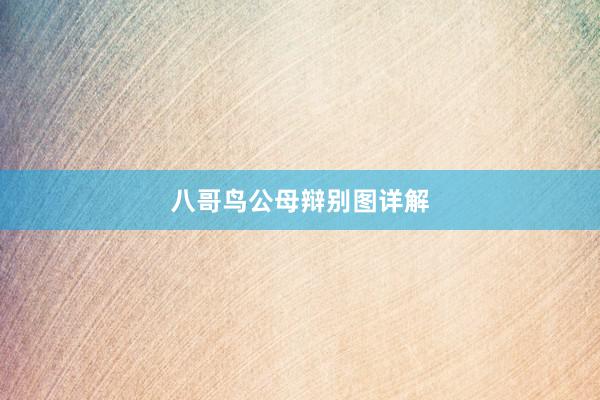 八哥鸟公母辩别图详解