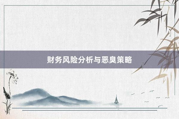 财务风险分析与恶臭策略
